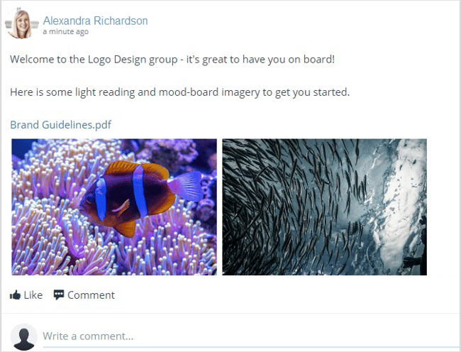 blog- Mood-board11